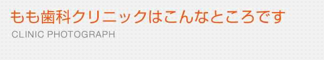 もも歯科クリニックはこんなところです