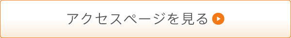 アクセスページを見る
